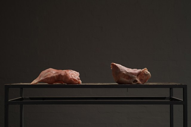 Flesh Lumps, Installation, Photo: Kerry Leonard